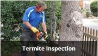 M&R Termite Solutions image 1